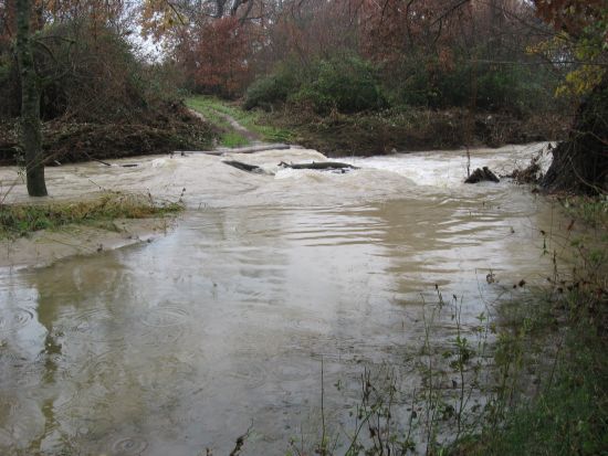 crue de la nesque 4