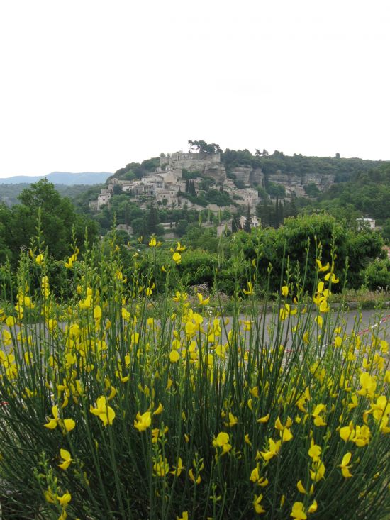 Le Beaucet en fleurs