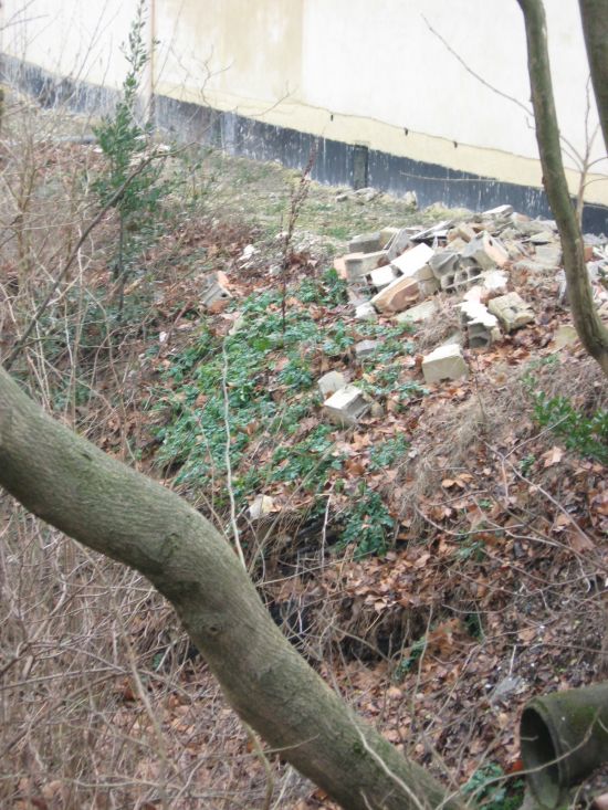des ruines en plein centre de Pernes