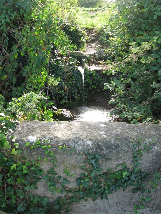 la source Saint Roch à Pernes les Fontaines