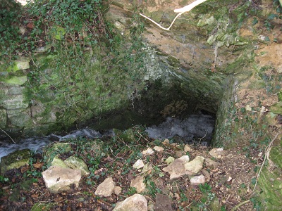 source de la Nesque